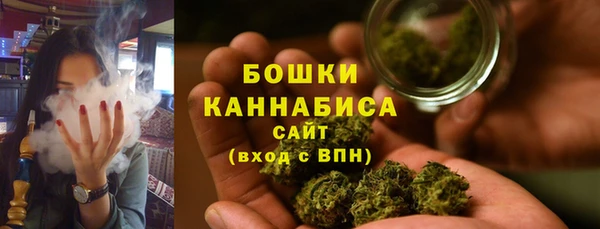 амф Дмитров
