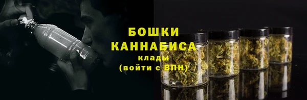 амф Дмитров