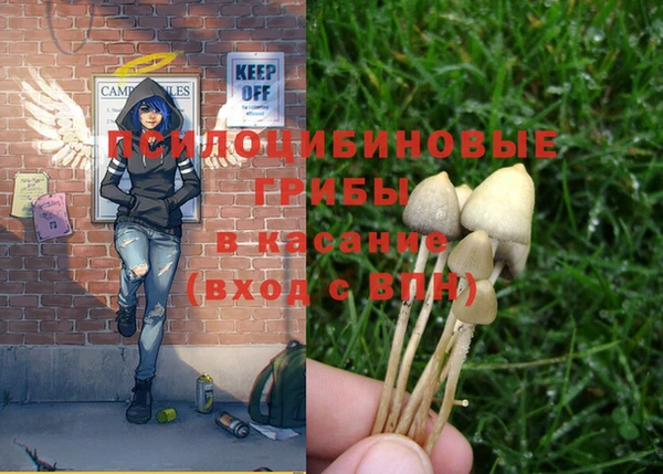 прущая мука Дмитриев