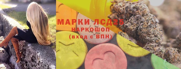 амф Дмитров
