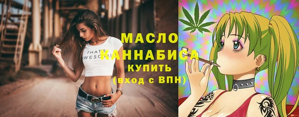 амф Дмитров