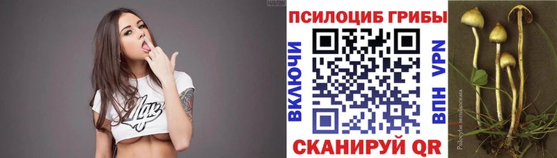 Псилоцибиновые грибы мицелий  Купить  Касимов 